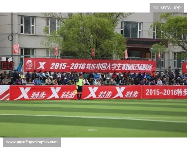 板球经济链潜力激增赞助商争夺青少年赛事冠名权新机遇 板球经济链潜力激增赞助商争夺青少年赛事冠名权新机遇